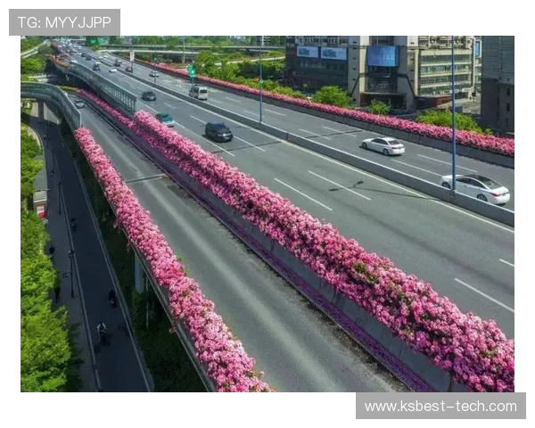 杭州排球队阵地战分析：优劣势及未来发展方向探讨